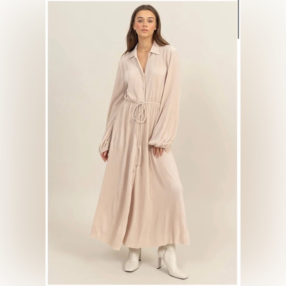 Pretty Button Down Pleated Maxi Dress - Champagne - Picture 2 of 6